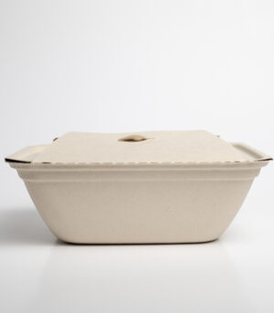Lunch Pack - Renovapack