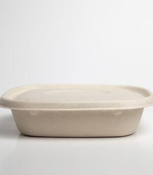 Tapa Lunch Box 9x7