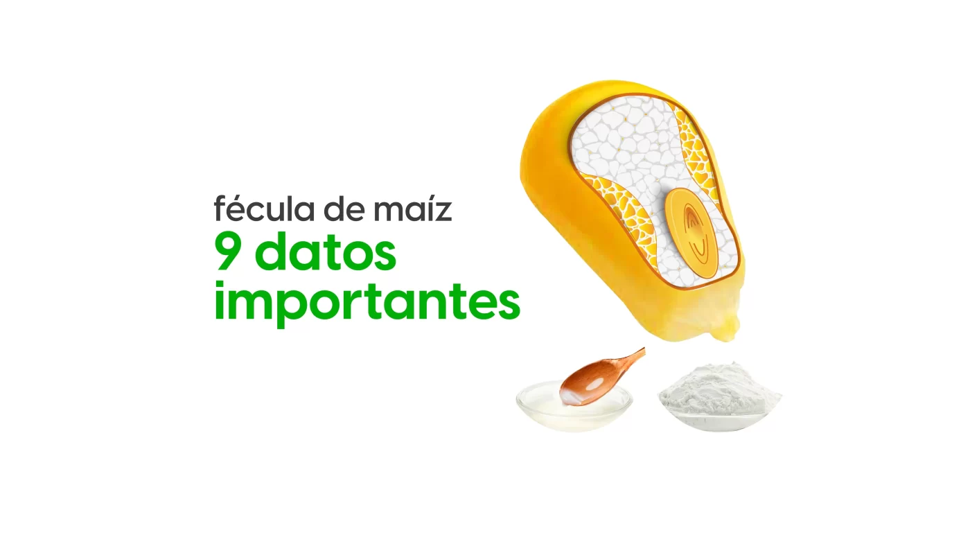 cover-blog-fecula-maiz-9-datos-importantes-renovapack-